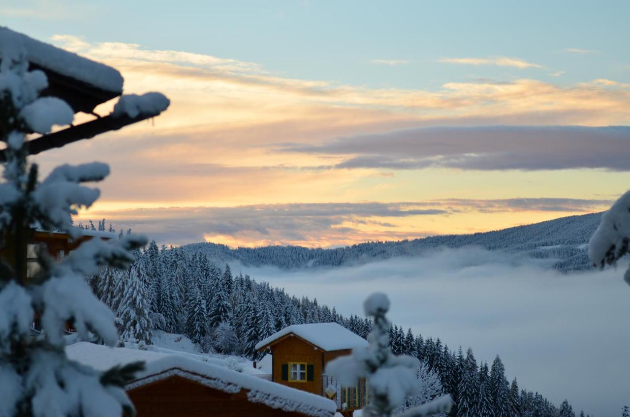Ferienhaus Seetaler Alpen Obdach 外观 照片